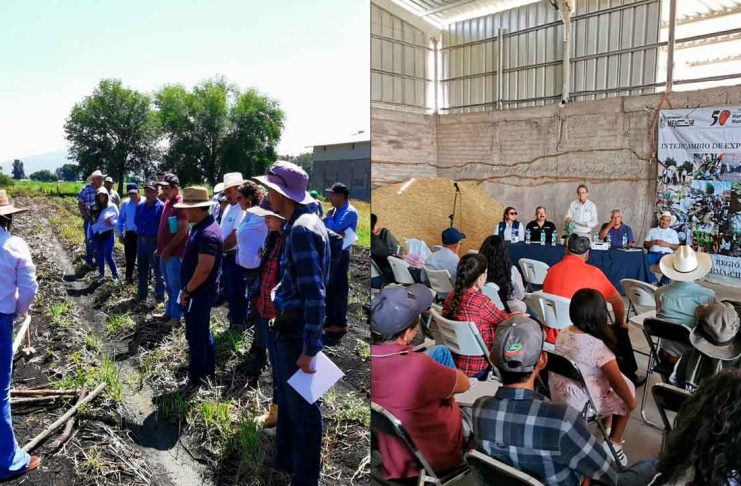 Impulsan prácticas agroecológicas con taller regional para campesinos de Lerma-Chapala