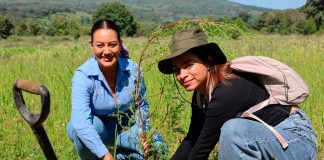Moni Valdez impulsa la Campaña Anual de Reforestación 2026 para recuperar las áreas naturales de Zacapu