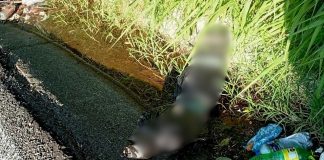 “Bulto” embolsado moviliza a policías, sobre la carretera “libre” Uruapan-Lombardía