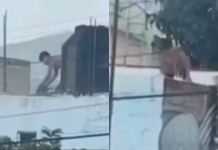#VIDEO // Graban a menor lanzando a un gato desde una azotea en la colonia Indígena