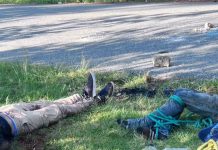 Hallan a tres hombres asesinados a machetazos y maniatados en carretera de Oaxaca
