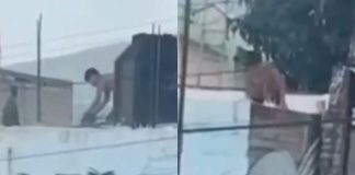 #VIDEO // Graban a menor lanzando a un gato desde una azotea en la colonia Indígena