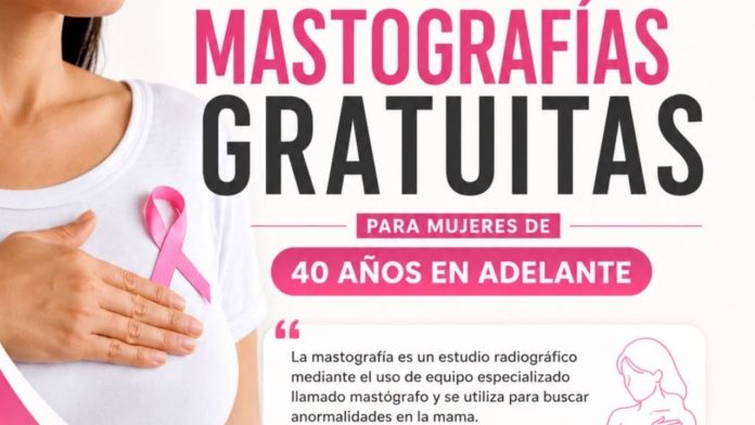 Niño tira a gatito de azotea (87)