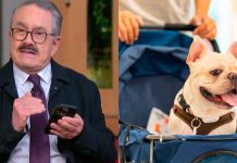 #VIDEO // “Fue una falta de empatía”: Pedro Sola se disculpa por comentarios contra las mascotas en carriolas