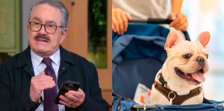 #VIDEO // “Fue una falta de empatía”: Pedro Sola se disculpa por comentarios contra las mascotas en carriolas