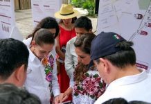 Tras quejas en Tulum, Sheinbaum llama al titular de la CONANP a actuar con “sentido común”