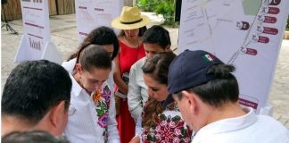 Tras quejas en Tulum, Sheinbaum llama al titular de la CONANP a actuar con “sentido común”