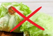Retiran lechuga procedente de México ligada a parásito intestinal