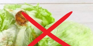 Retiran lechuga procedente de México ligada a parásito intestinal