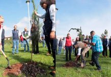 UMSNH, comprometida con el cuidado del medio ambiente; encabeza rectora, cruzada de reforestación