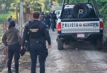 Vendedor de pollos es asesinado a balazos en Chaparaco