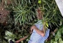 Rescatan a adulto mayor con cáncer tras ser abandonado por su familia en Colombia