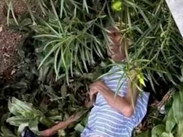 Rescatan a adulto mayor con cáncer tras ser abandonado por su familia en Colombia