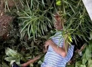 Rescatan a adulto mayor con cáncer tras ser abandonado por su familia en Colombia