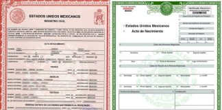 Esto significan los colores en tu acta de nacimiento y así puedes descargarla