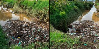 Más de 64 toneladas de basura dejó la lluvia torrencial de este fin de semana