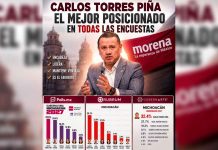 El más posicionado: Carlos Torres Piña lidera tres encuestas rumbo a la coordinación de Morena