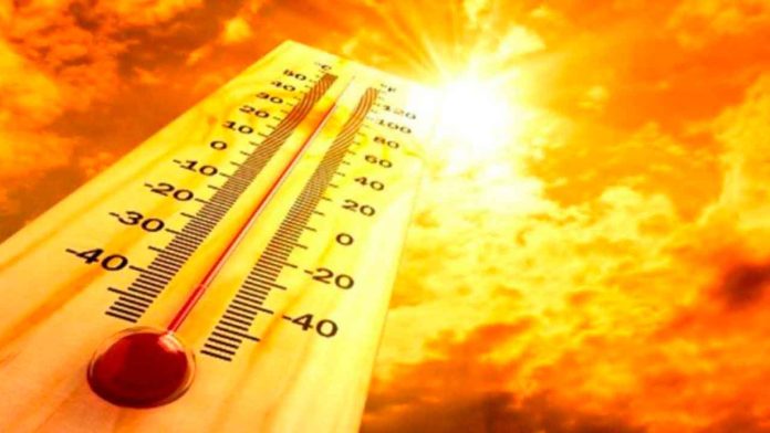 causas-verano-intenso-isla-calor-cambio-climatico