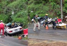 Tragedia en Tacámbaro, árbol aplasta a taxi; hay un muerto y tres heridos
