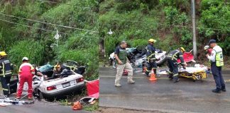 Tragedia en Tacámbaro, árbol aplasta a taxi; hay un muerto y tres heridos