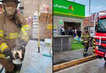 Reporte de incendio en Bodega Aurrera Indeco moviliza a los Bomberos, en Morelia