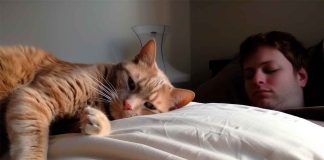 ¿Es bueno o malo dormir con tu perro? Esto es lo que revelan los especialistas