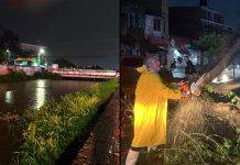 Fuertes lluvias provocan inundaciones, caída de árboles y cortes de luz en Morelia