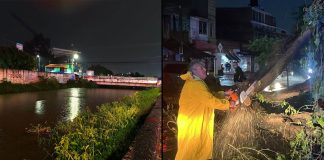 Fuertes lluvias provocan inundaciones, caída de árboles y cortes de luz en Morelia