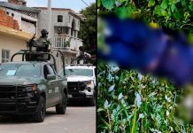 Fuerzas Federales abaten a 3 presuntos gatilleros del Cartel Jalisco, en Cotija
