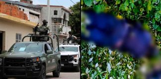 Fuerzas Federales abaten a 3 presuntos gatilleros del Cartel Jalisco, en Cotija
