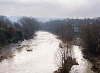 Gemelos de once años salen a jugar fútbol y horas después son hallados sin vida en un río