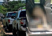 Hallan a hombre asesinado a tiros dentro de camioneta en la región de Álvaro Obregón