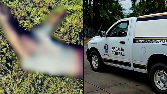 hallan-hombre-sin-vida-camino-rural-ario-rosales
