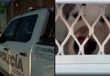 #VIDEO // Le quitan la vida a sujeto disparándole en los genitales tras abusar de un perrito de 4 meses