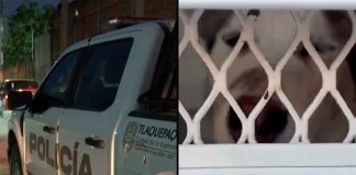 #VIDEO // Le quitan la vida a sujeto disparándole en los genitales tras abusar de un perrito de 4 meses