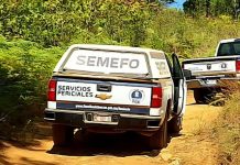 Localizan a un ejecutado cerca de la carretera Jacona – Los Reyes