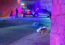 Conductor atropella y mata a hombre en situación de calle mientras dormía en Chilpancingo
