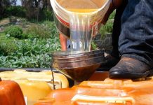 Del huachicol tradicional al fiscal: así funciona el contrabando de combustible