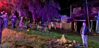 Motociclistas derrapan y chocan contra un árbol en Uruapan; uno muere