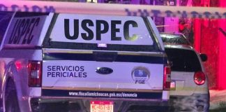 Joven es asesinado a balazos dentro de un domicilio en Cuto del Porvenir, Tarímbaro
