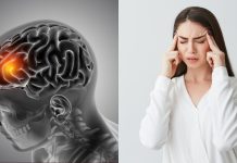 ¿Por qué todos hablan del cortisol? Lo que realmente debes saber sobre la “hormona del estrés”