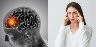 ¿Por qué todos hablan del cortisol? Lo que realmente debes saber sobre la “hormona del estrés”