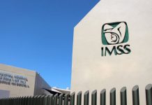 IMSS detectó empresa fantasma con 55 mil afiliados ficticios