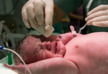 “Era tres bebés”: madre denuncia presunto robo de bebé tras cesárea en Culiacán; doctores afirma fueron gemelas