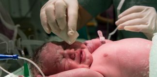“Era tres bebés”: madre denuncia presunto robo de bebé tras cesárea en Culiacán; doctores afirma fueron gemelas