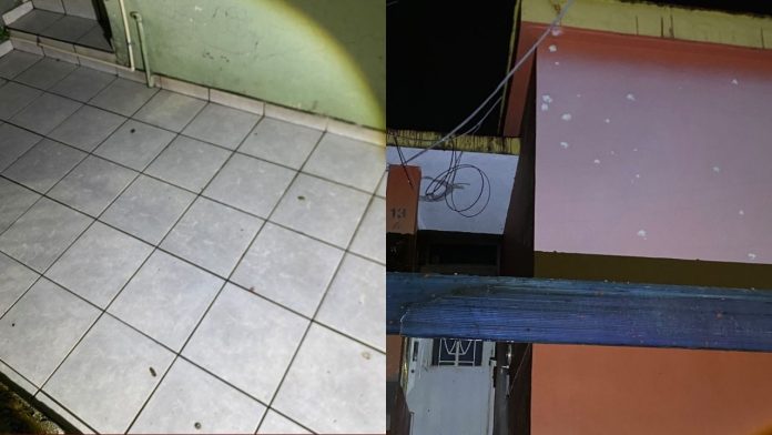 imagen destacada - 2026-07-14T141457.153