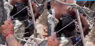 #VIDEO // Rescatan a perro tras 19 días sepultado en Venezuela y frenan demoliciones
