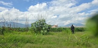 Era menor de edad el asesinado en Prados del Bosque, Zamora