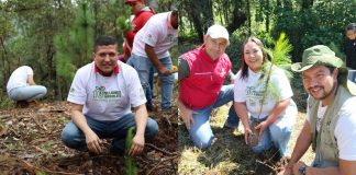 Fomentan el cuidado ambiental en el distrito XIX