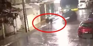 #VIDEO // Joven pierde la vida atropellada en Tecámac; niegan que el responsable fue su ex pareja